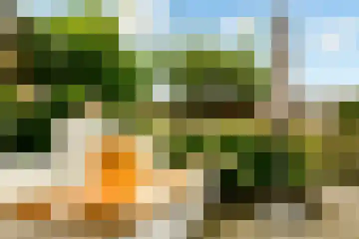 Weteringkade 140 Amersfoort thumbnail 32
