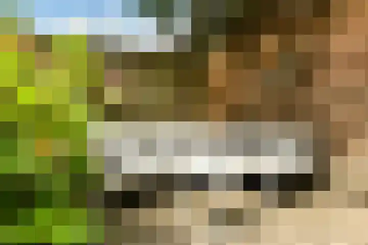 Weteringkade 140 Amersfoort thumbnail 34