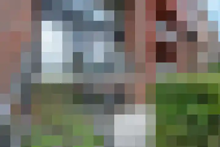 Weteringkade 153 Amersfoort thumbnail 10