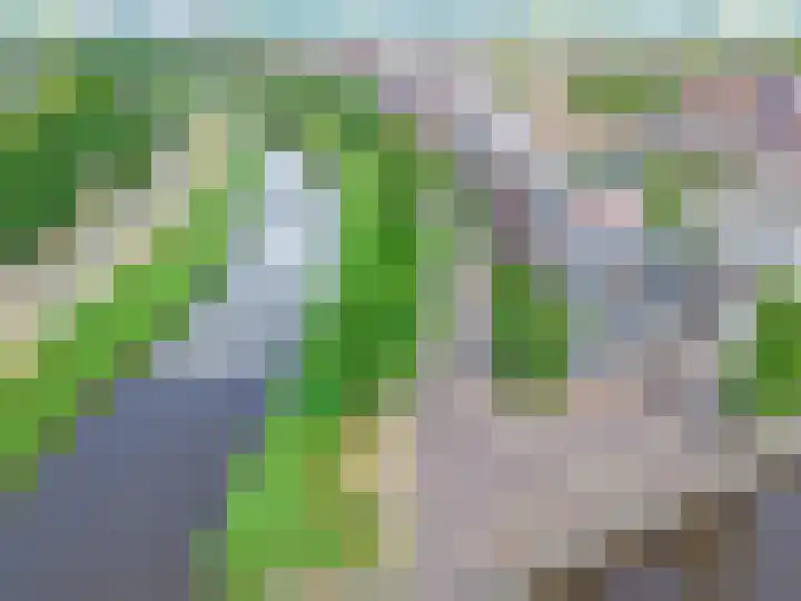 Weteringkade 153 Amersfoort thumbnail 44