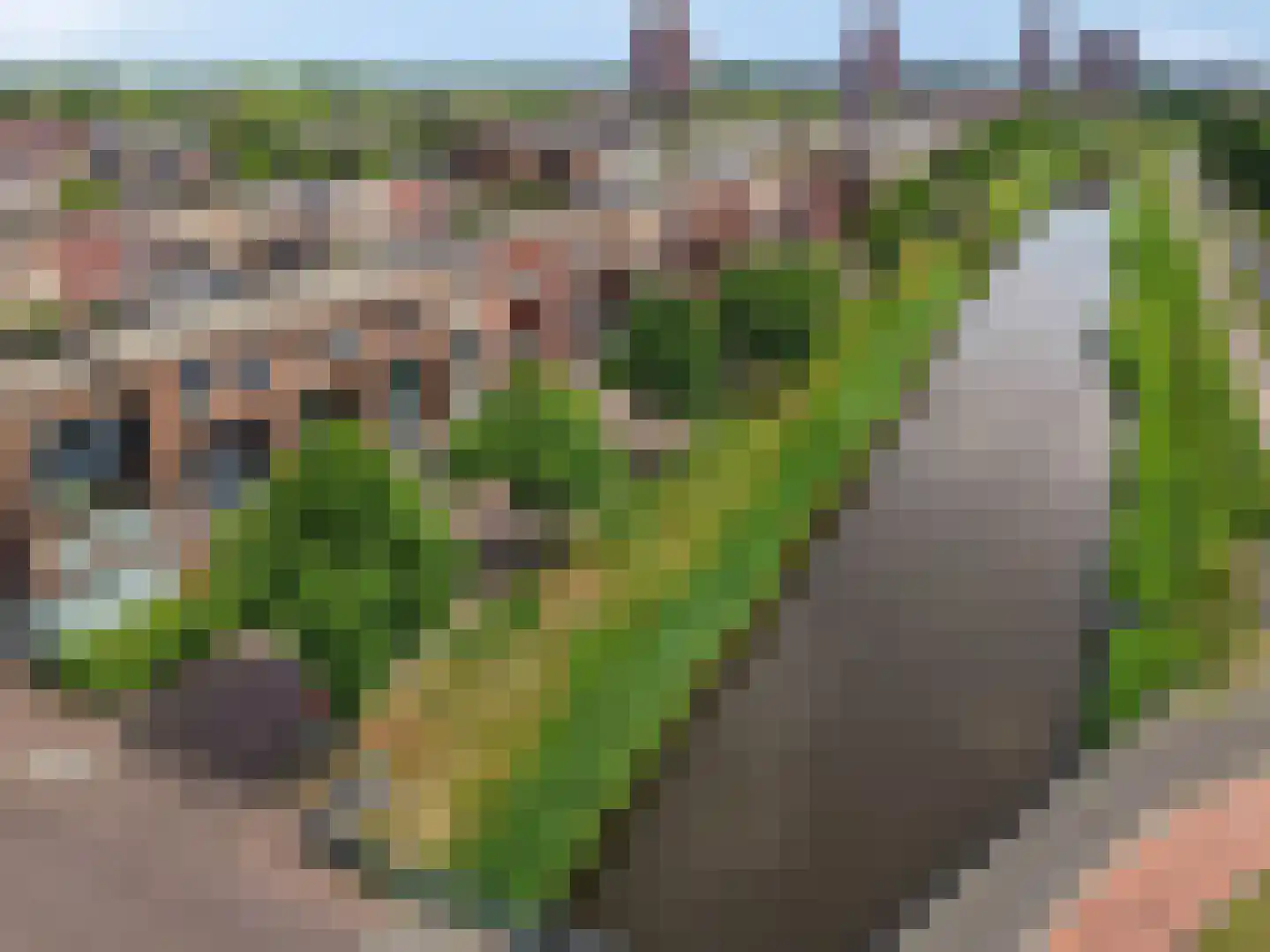 Weteringkade 158 Amersfoort thumbnail 10