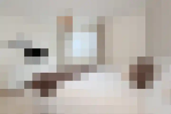 Weteringkade 207 Amersfoort thumbnail 17