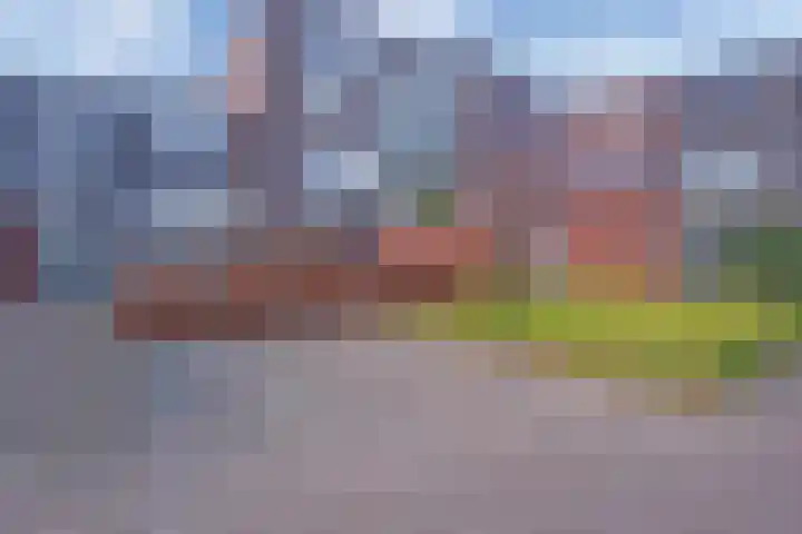 Weteringkade 207 Amersfoort thumbnail 28