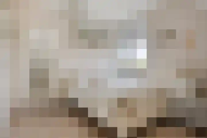 Weteringkade 216 Amersfoort thumbnail 33