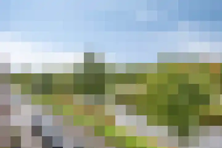 Weteringkade 216 Amersfoort thumbnail 36