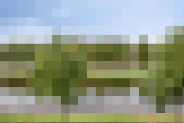 Weteringkade 216 Amersfoort thumbnail 38
