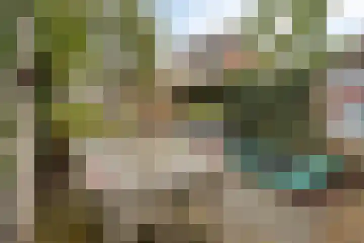 Weteringkade 216 Amersfoort thumbnail 43