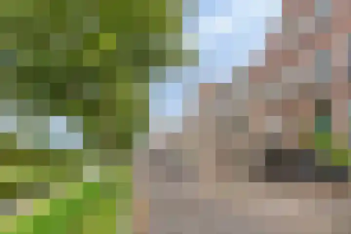 Weteringkade 216 Amersfoort thumbnail 48