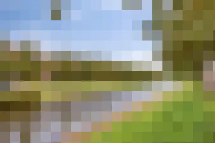 Weteringkade 216 Amersfoort thumbnail 49