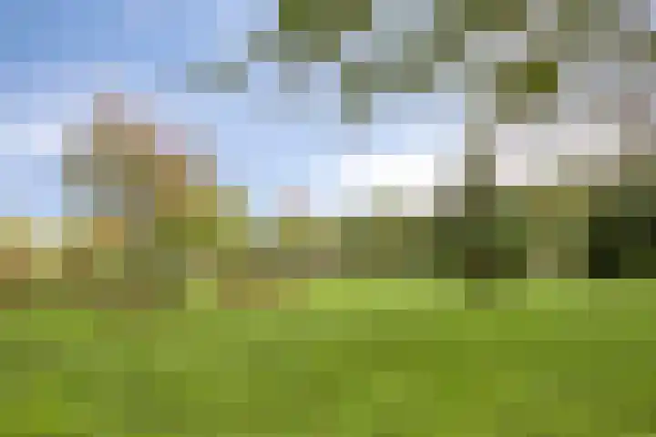 Weteringkade 216 Amersfoort thumbnail 52
