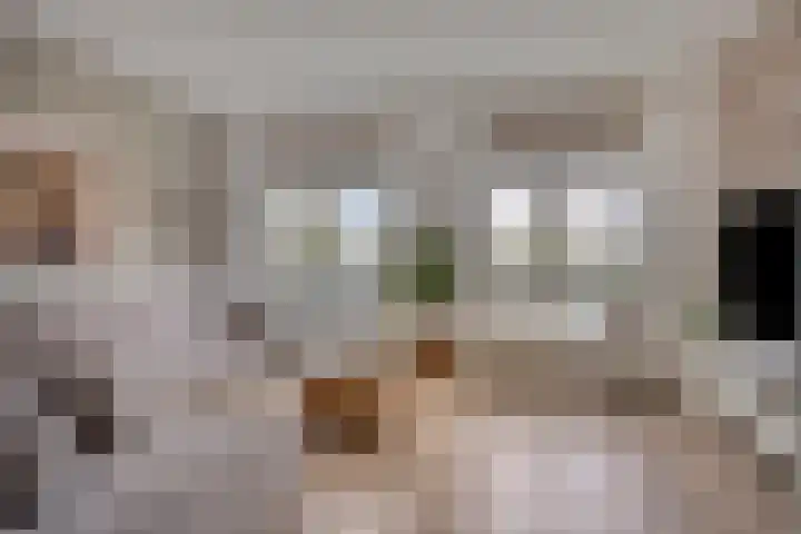 Weteringkade 216 Amersfoort thumbnail 8