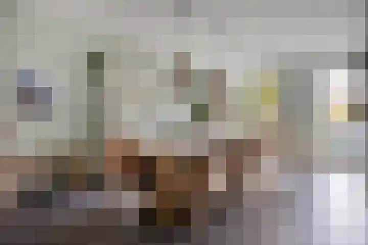 Weteringkade 216 Amersfoort thumbnail 9