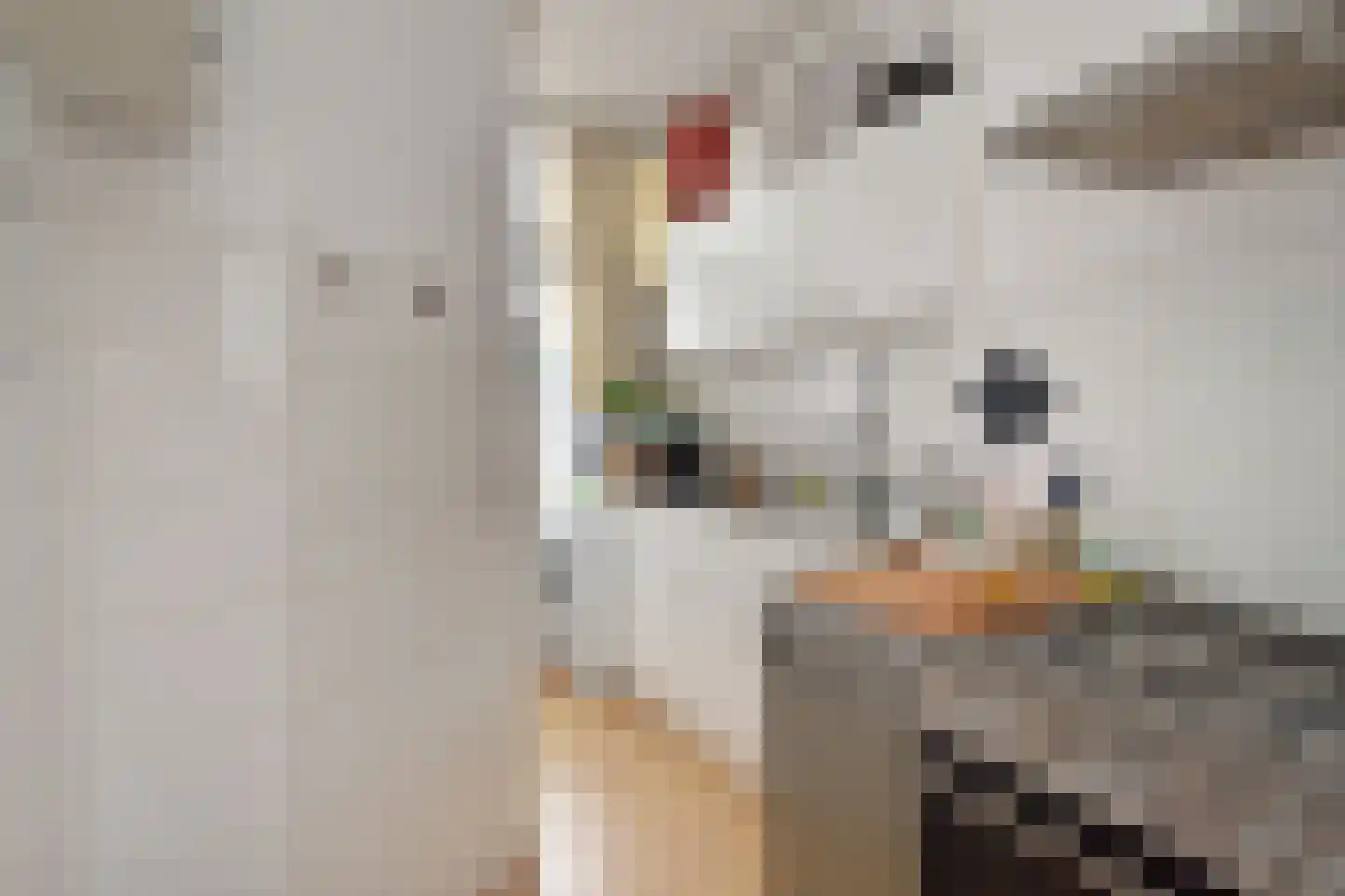 Weteringkade 23 Den Haag thumbnail 26