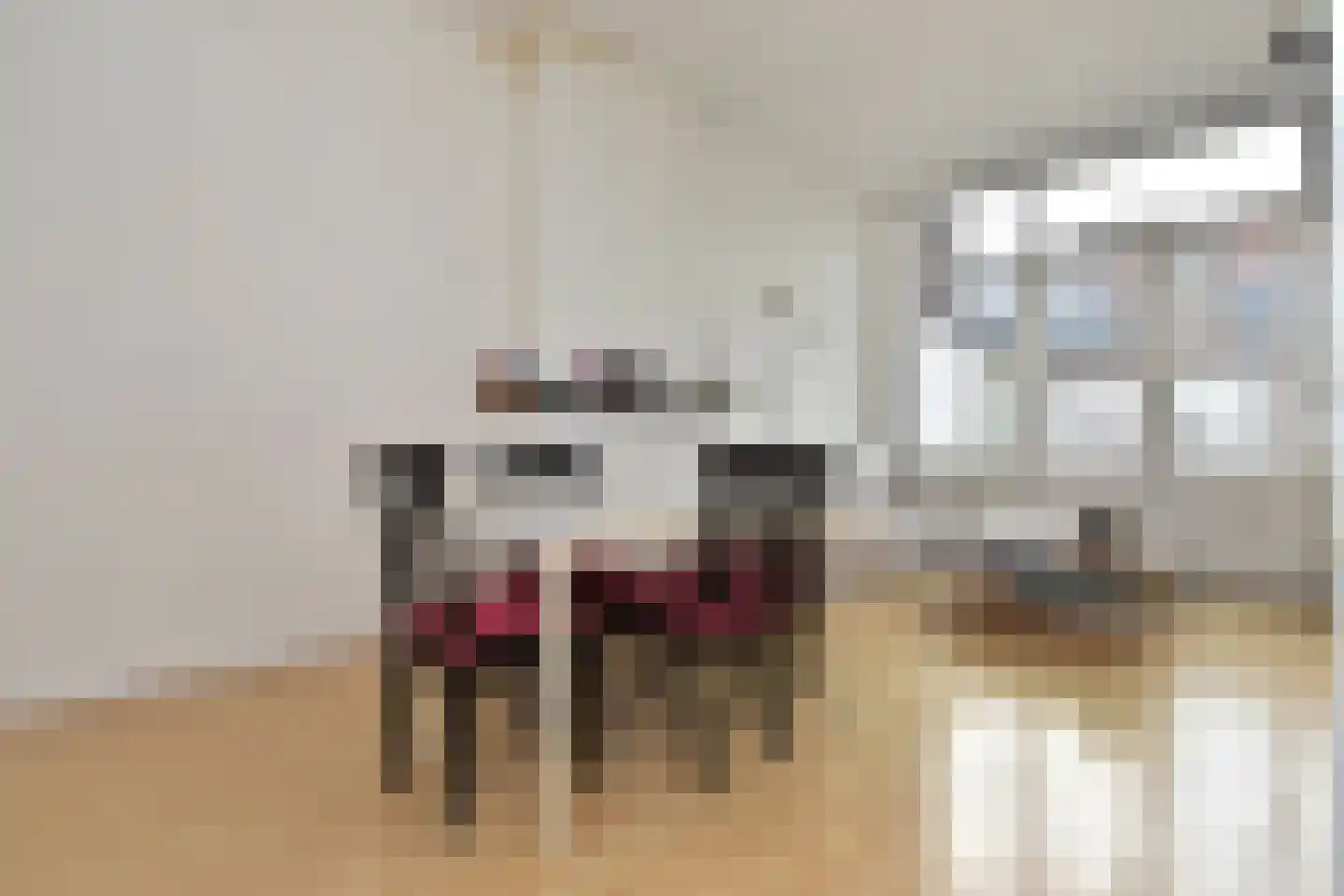 Weteringkade 23 Den Haag thumbnail 29