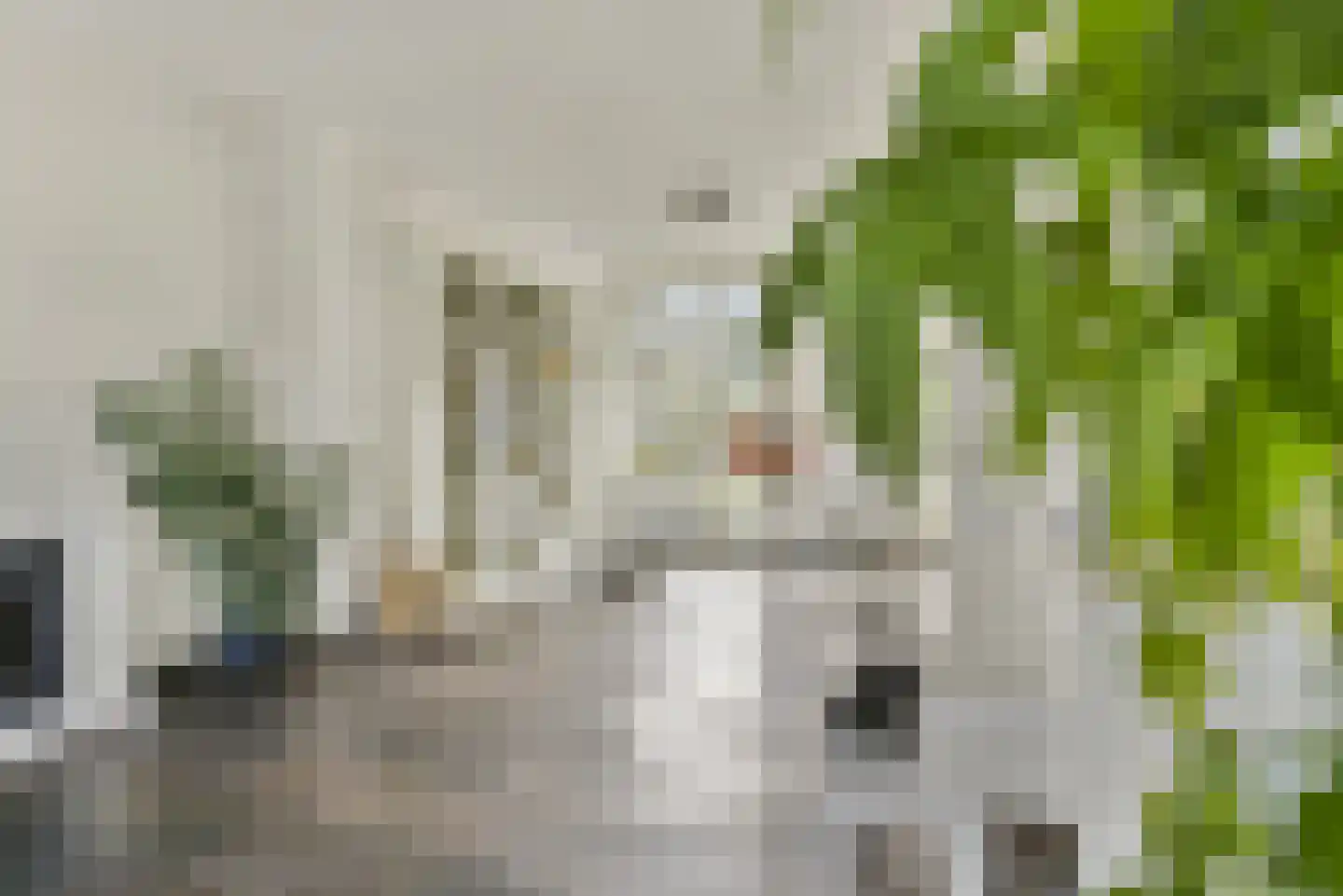 Weteringkade 241 Amersfoort thumbnail 11