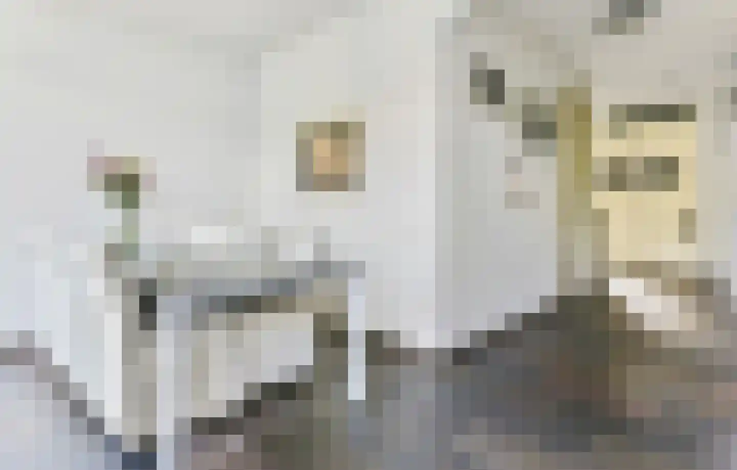 Weteringkade 241 Amersfoort thumbnail 16