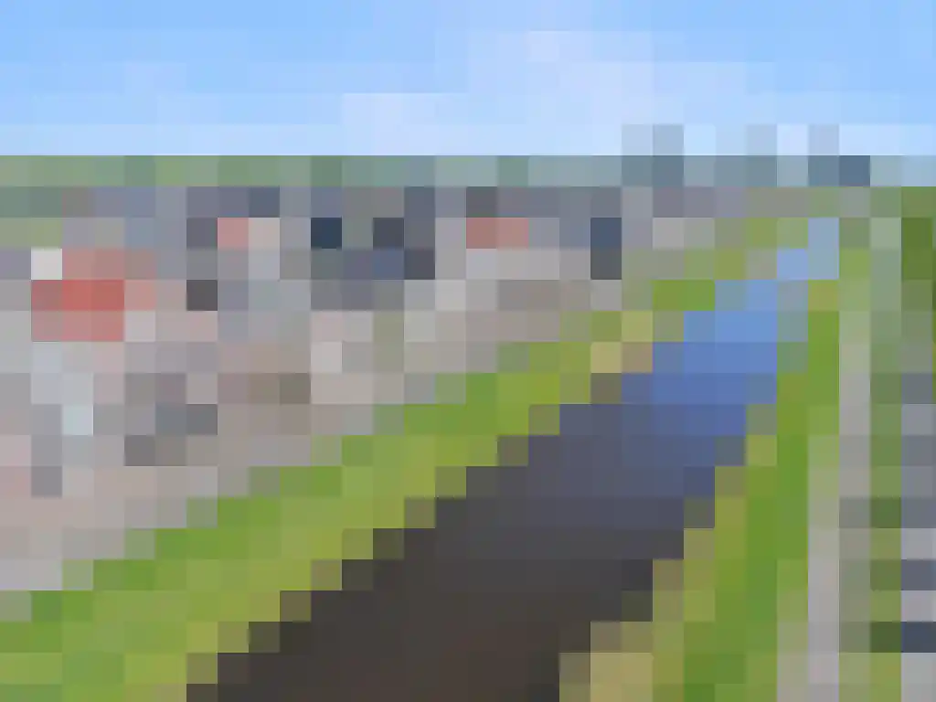Weteringkade 241 Amersfoort thumbnail 42