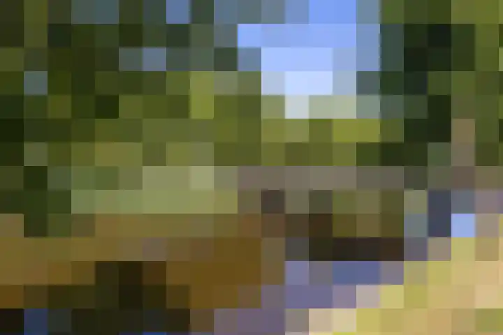 Weteringkade 253 Amersfoort thumbnail 32
