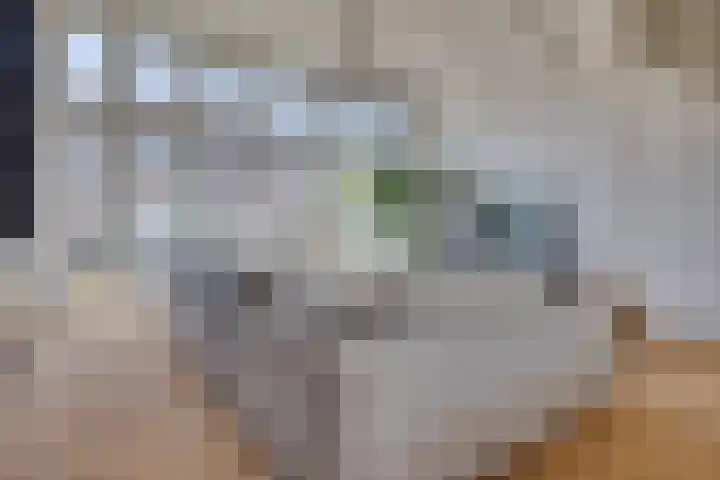 Weteringkade 253 Amersfoort thumbnail 6