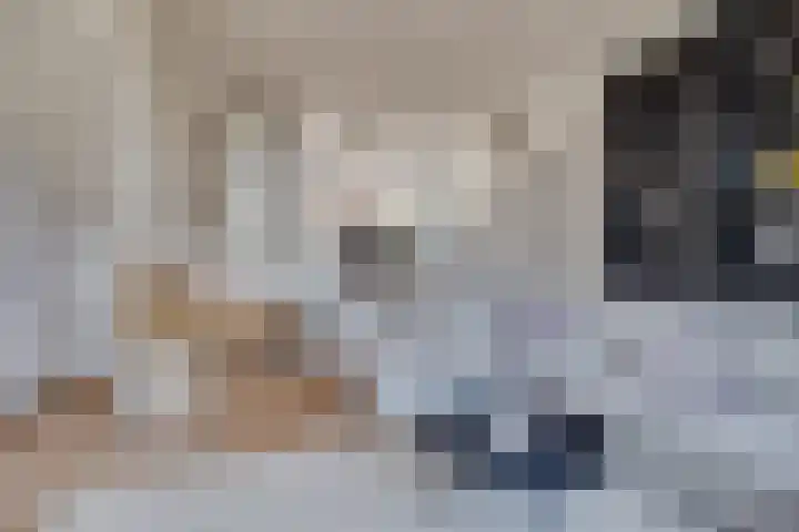 Weteringkade 253 Amersfoort thumbnail 8