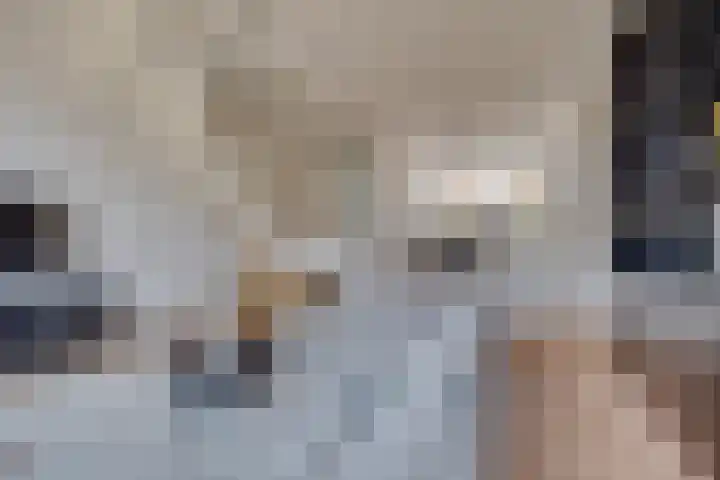 Weteringkade 253 Amersfoort thumbnail 9