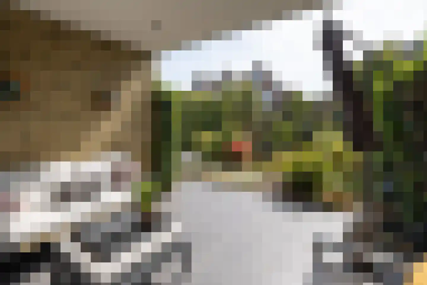 Weteringkade 256 Amersfoort thumbnail 10