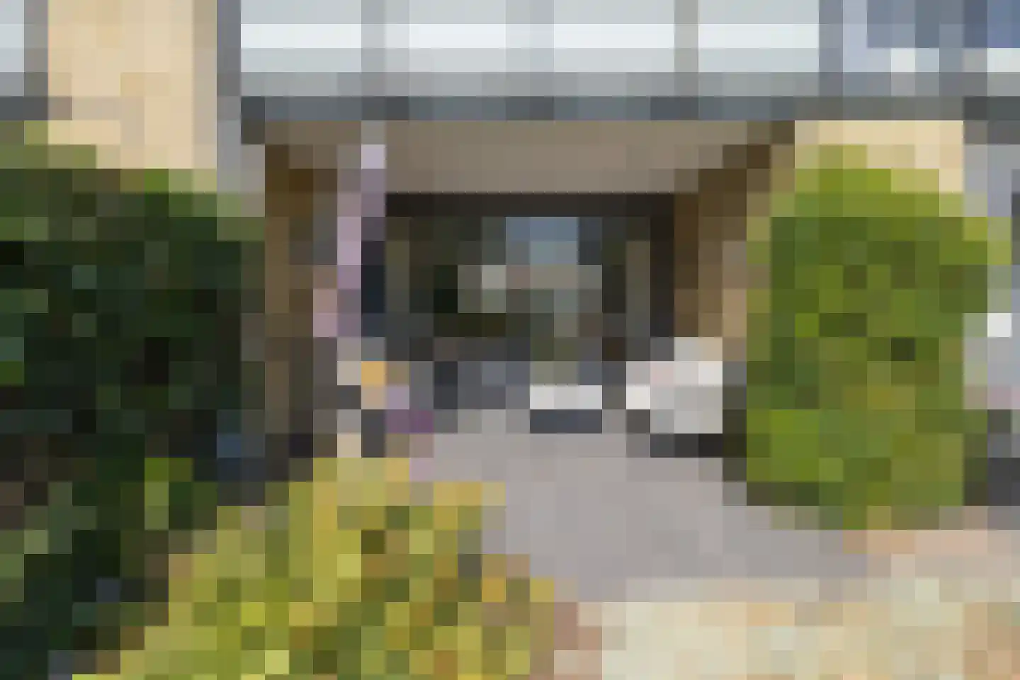 Weteringkade 256 Amersfoort thumbnail 11