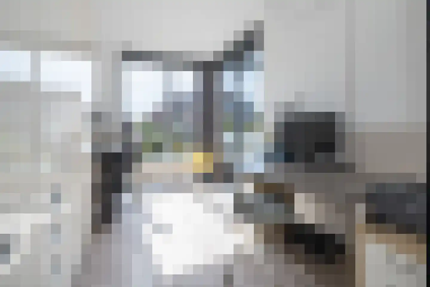 Weteringkade 256 Amersfoort thumbnail 26