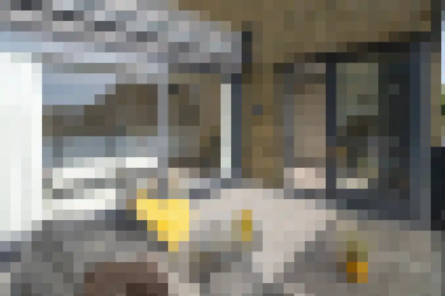 Weteringkade 256 Amersfoort thumbnail 29