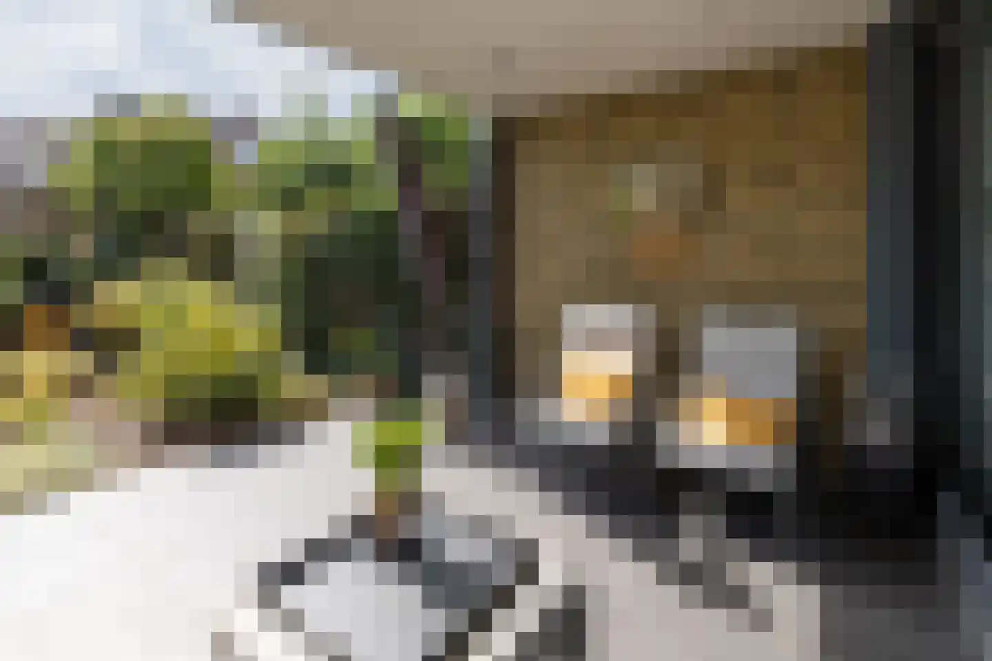 Weteringkade 256 Amersfoort thumbnail 50