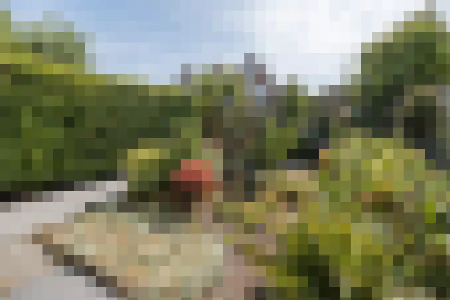 Weteringkade 256 Amersfoort thumbnail 51