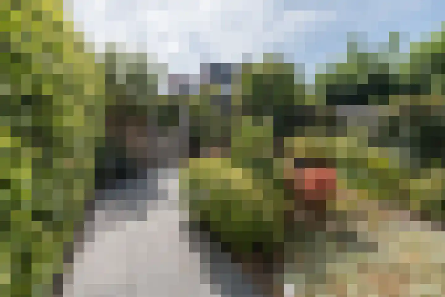 Weteringkade 256 Amersfoort thumbnail 52