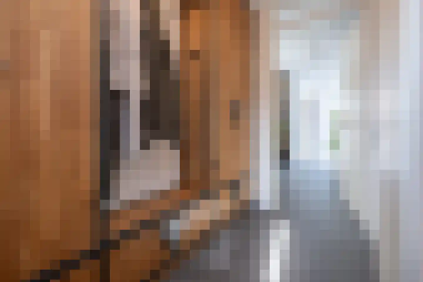 Weteringkade 256 Amersfoort thumbnail 6