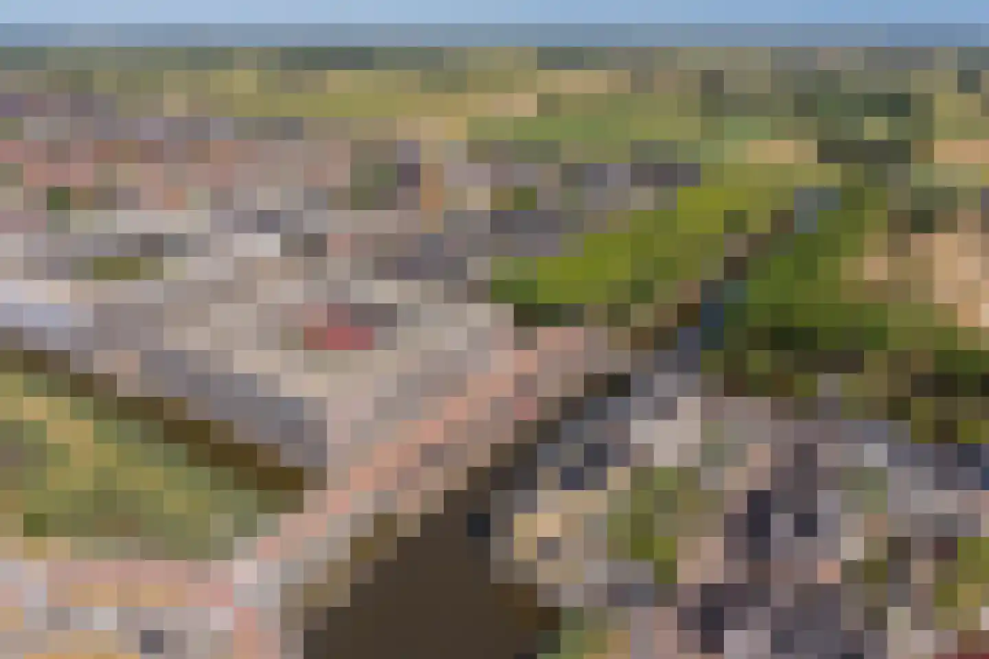 Weteringkade 256 Amersfoort thumbnail 69