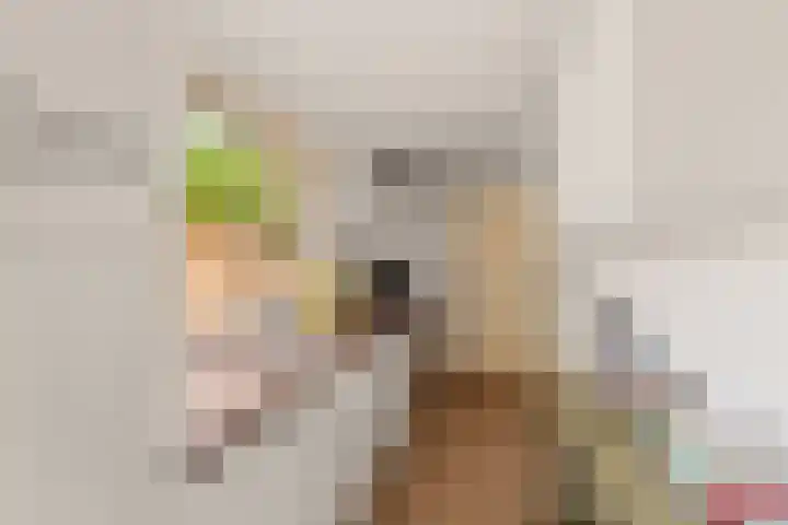 Weteringkade 34 Noordwijk thumbnail 12