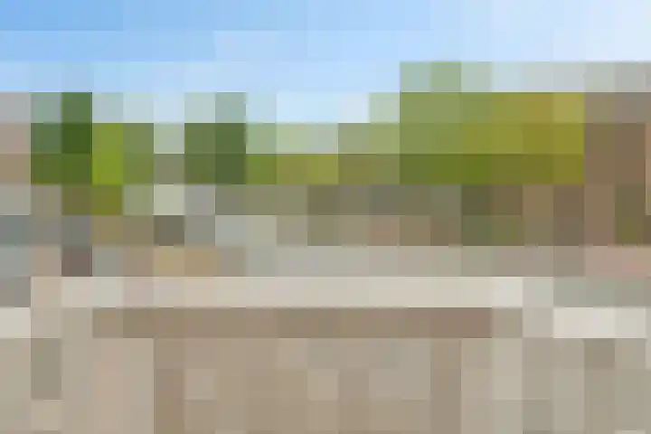 Weteringkade 48 A Den Haag thumbnail 17