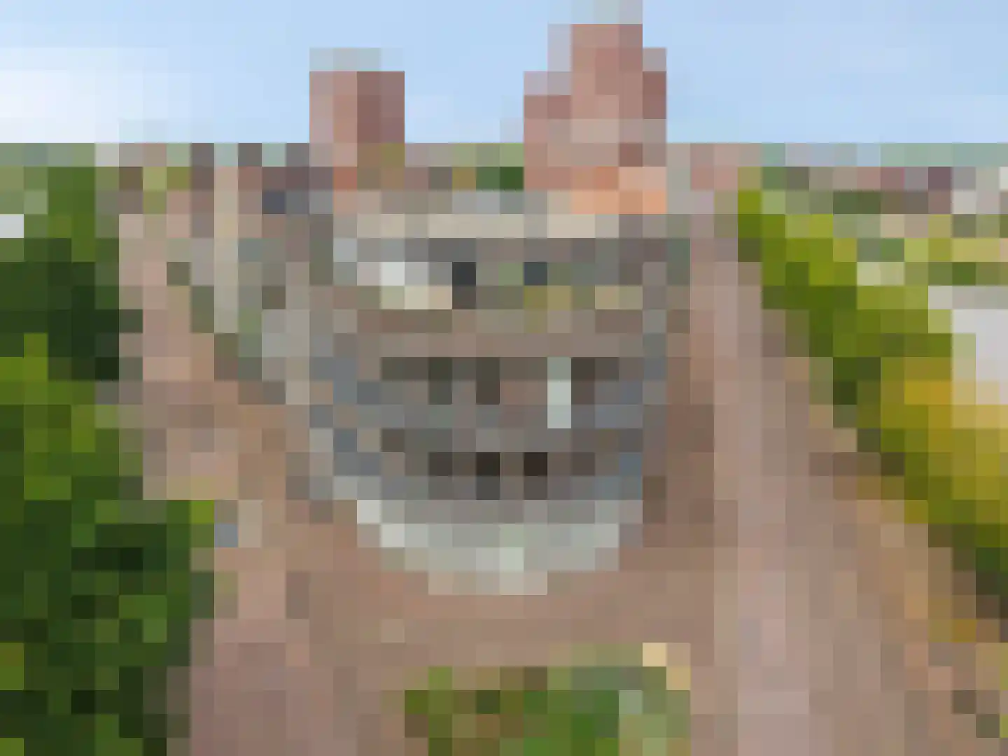 Weteringkade 5 Amersfoort thumbnail 37
