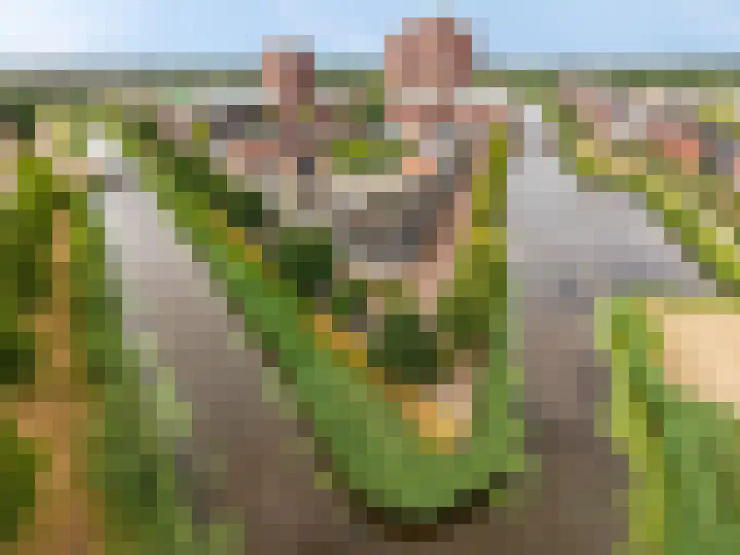 Weteringkade 5 Amersfoort thumbnail 9