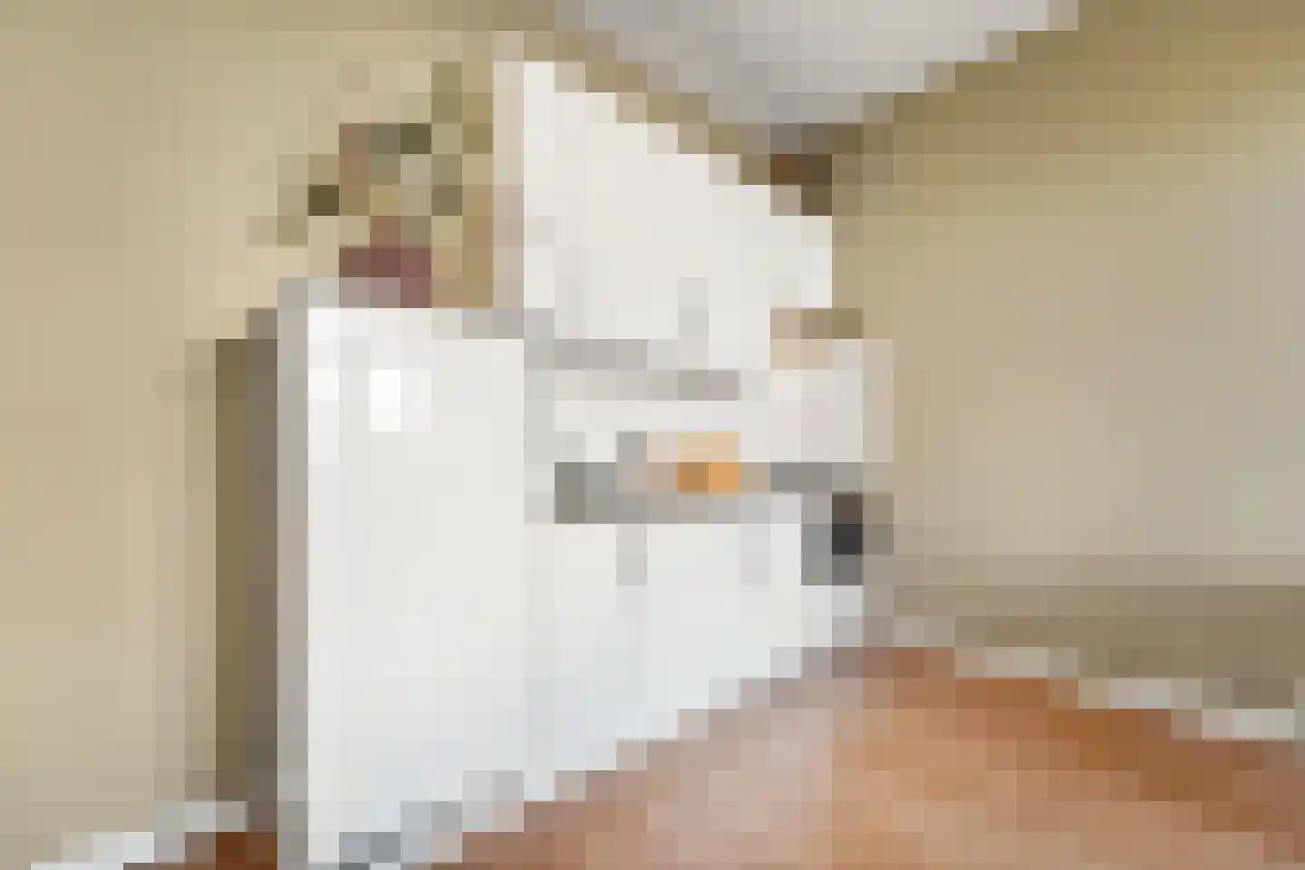 Weteringkade 54 E Den Haag thumbnail 6
