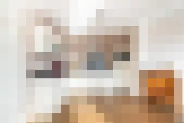 Weteringkade 7 Amersfoort thumbnail 10