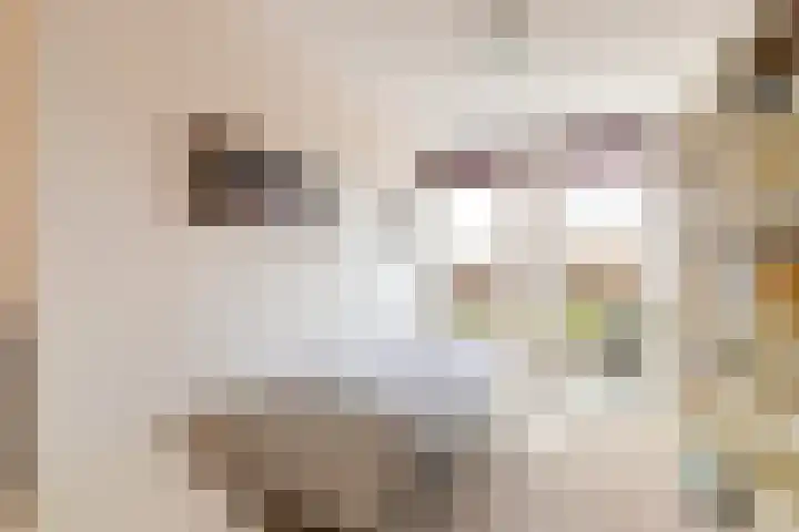 Weteringkade 7 Amersfoort thumbnail 22