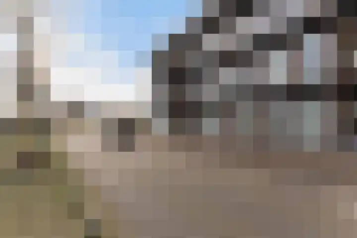Weteringkade 7 Amersfoort thumbnail 6