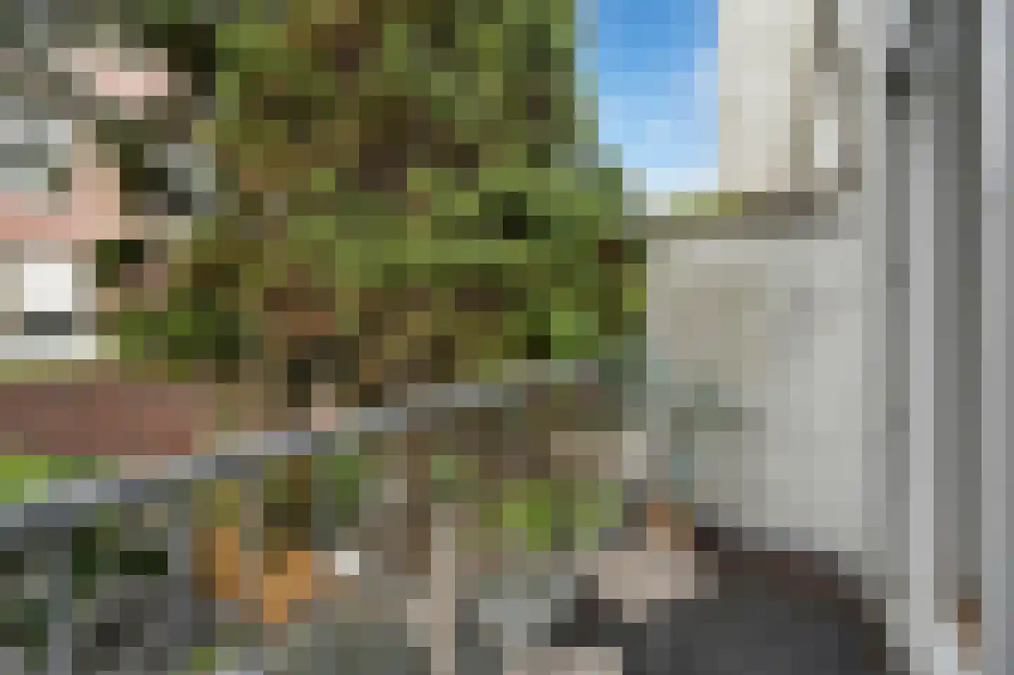Weteringkade 74 A Den Haag thumbnail 12