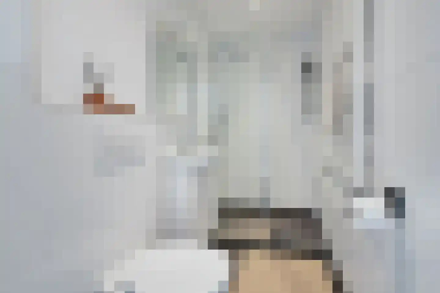 Weteringkade 74 B Den Haag thumbnail 11