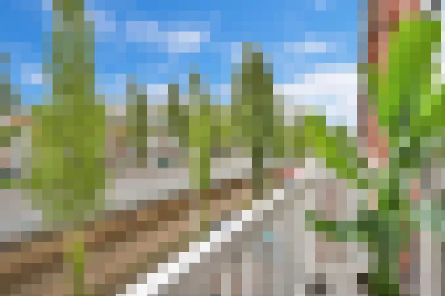 Weteringkade 74 B Den Haag thumbnail 15