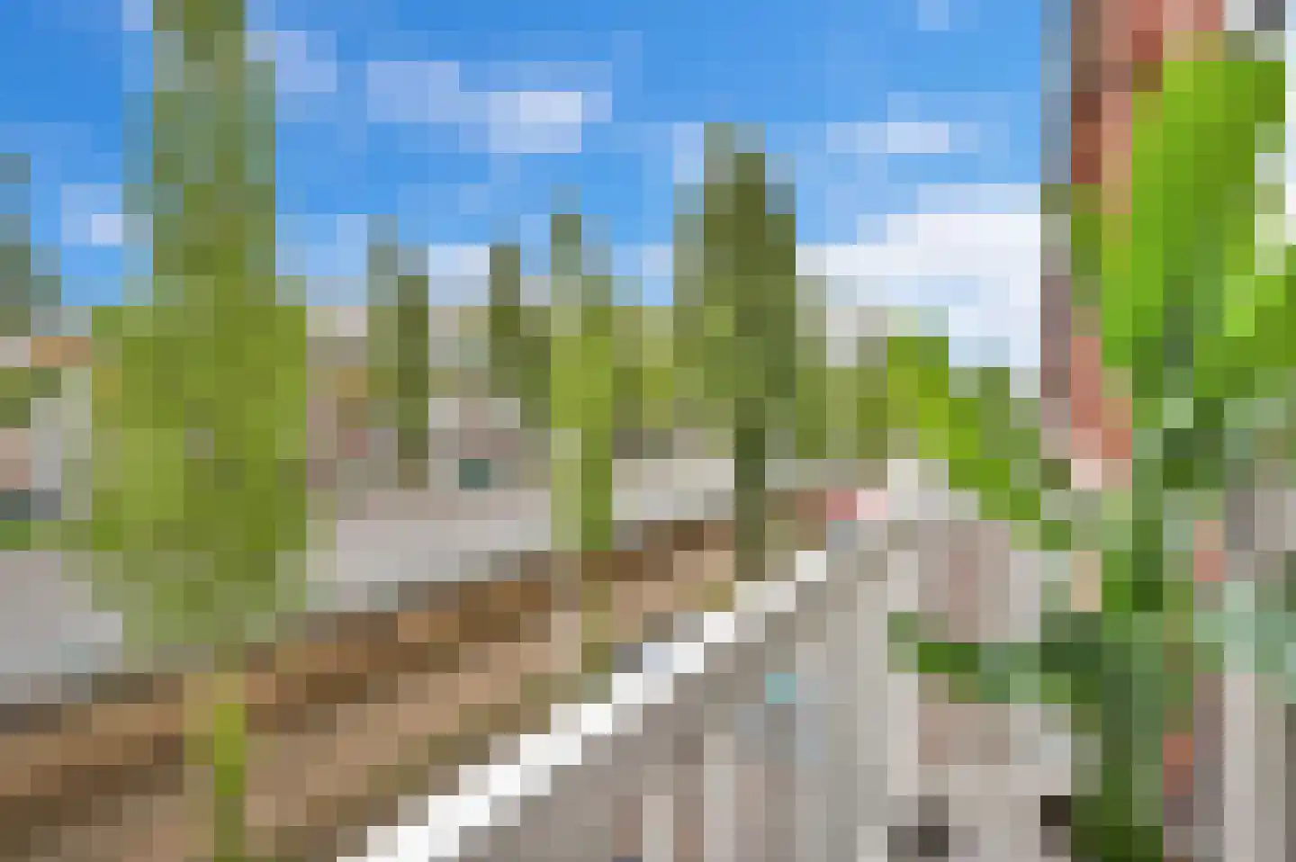 Weteringkade 74 B Den Haag thumbnail 15