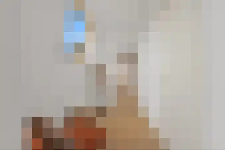 Weteringkade 74 D Den Haag thumbnail 14