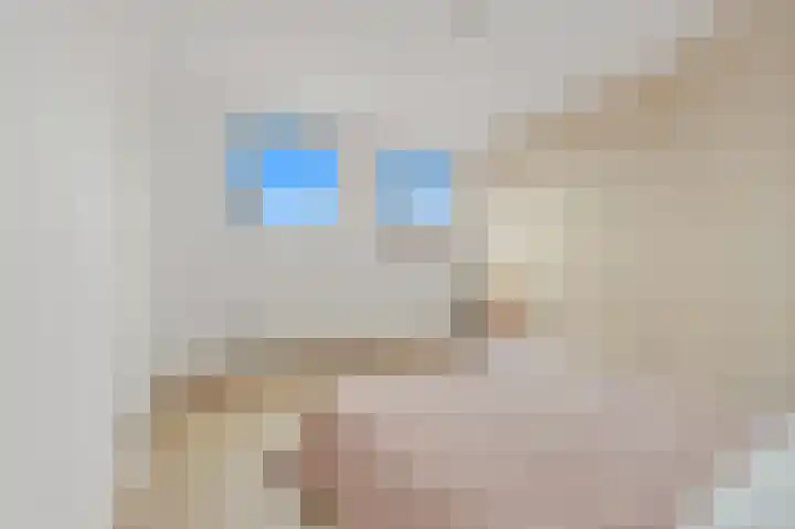 Weteringkade 74 D Den Haag thumbnail 18