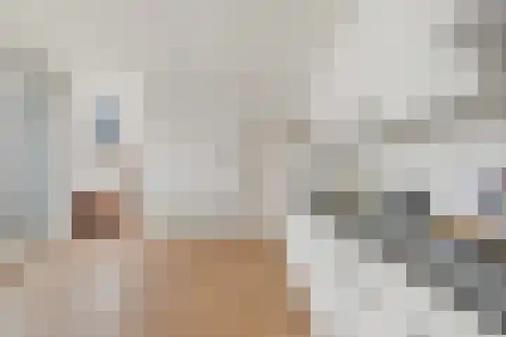 Weteringkade 74 D Den Haag thumbnail 8