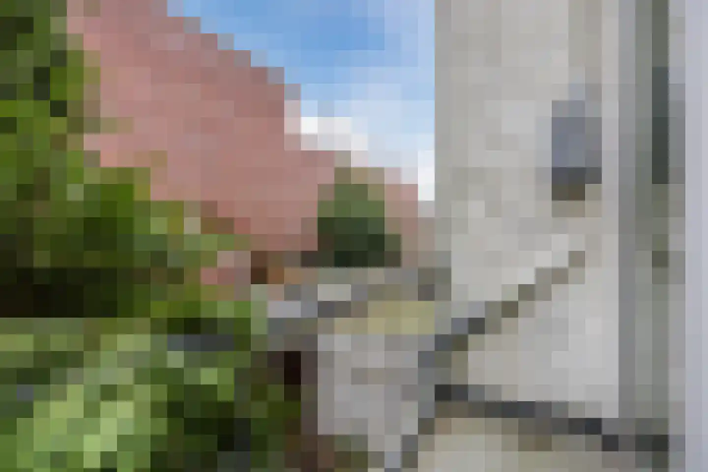 Weteringkade 80 Den Haag thumbnail 17